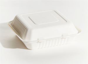 Dinner-Box-Sugarcane-Large-White-(200)-Bio-Way-(839736)