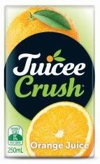 Juice-Orange-24x250ml--Juicee-Crush-(724523)