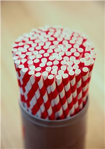 Straws-Paper-Wrapped-Regular-Kraft-(2000)-Bygreen-(850156)