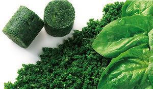 Spinach-IQF-15gm-Portions-2.5Kg-Ardo-(VG)-(GF)-(H)-(049927)