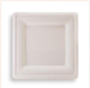 Plate-Square-Sugarcane-8-(500)-Huhtamaki-(742410)