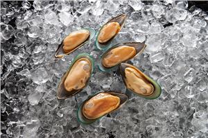 Mussels-1/2-Shell-1Kg-Talleys-(GF)-(128118)