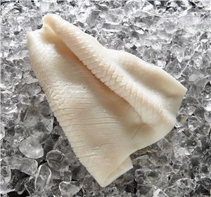 Squid-Fillet-Pineapple-Cut-Under-5-Tenderised-Gigas-5kg-Top-Sail-(GF)-(152689)